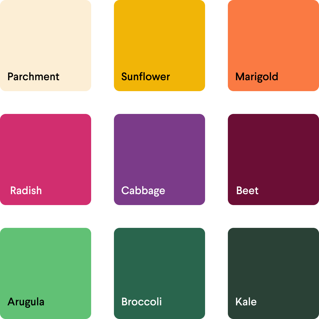 color-palette-labeled-2